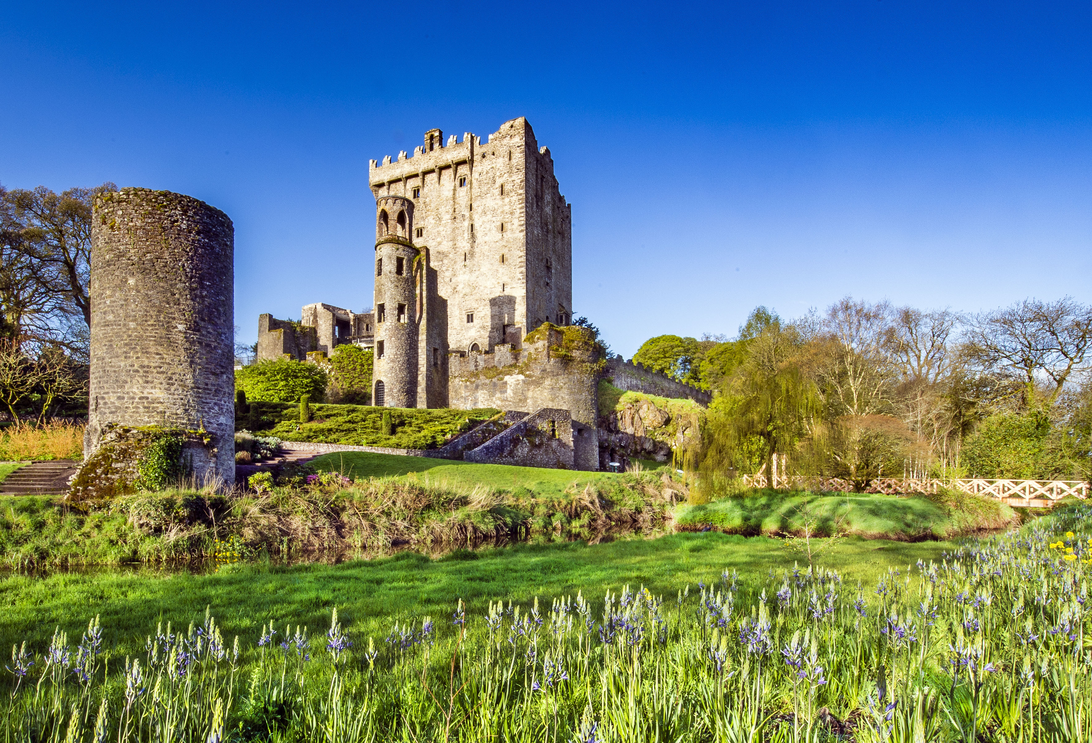 Blarney Castle framed by spring flowers and trees on a bright day in the gardens.